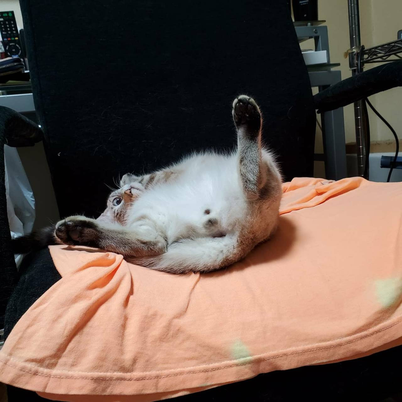 株式会社TLAWORKS