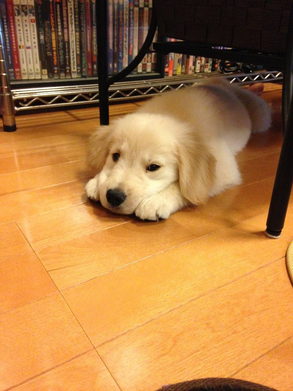 掃除屋の独り言