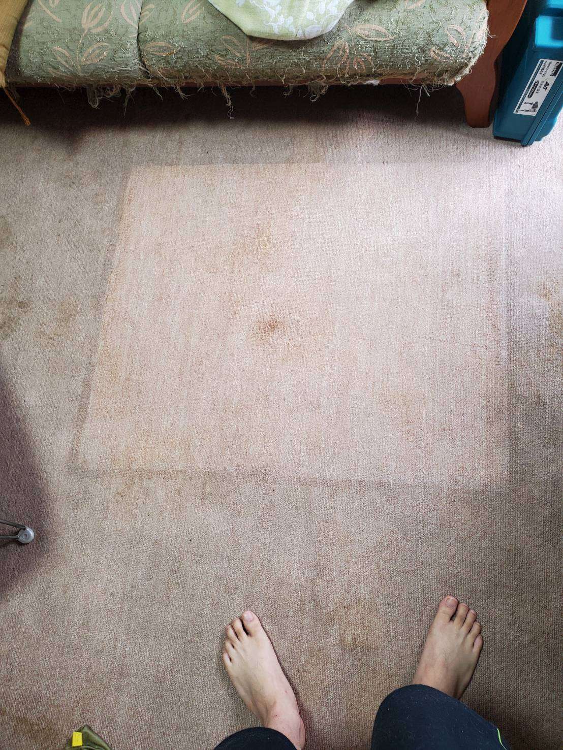 カーペット・絨毯クリーニング